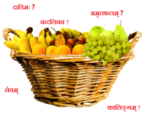 Fruits Name In Sanskrit