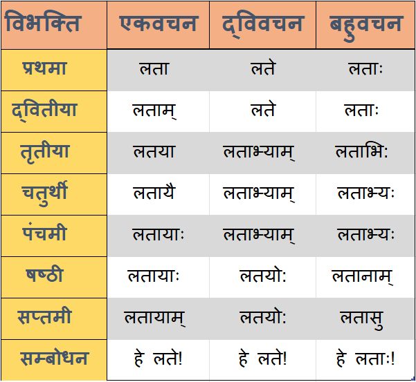 Lata Shabd Roop in Sanskrit | लता शब्द के रूप